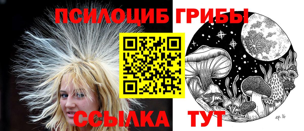Славгород  Галлюциногенные грибы мухоморы  что такое наркотик  Вход с VPN  Псилоцибиновые грибы MAGIC MUSHROOMS 
